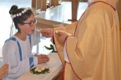 42