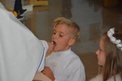 81